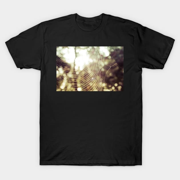 Into the Light T-Shirt by newbeltane